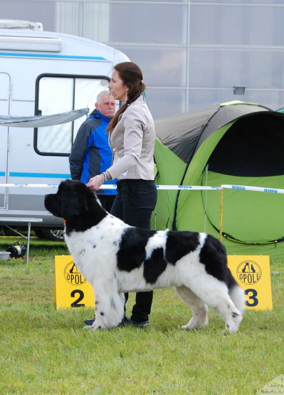 Фотография № 205817