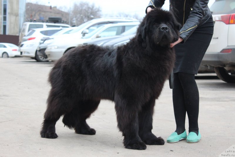 Фотография № 205820