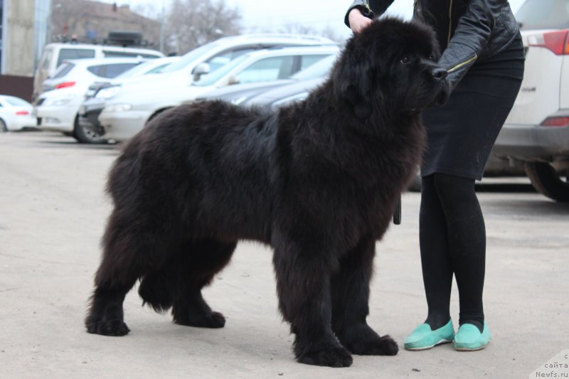 Фотография № 205821