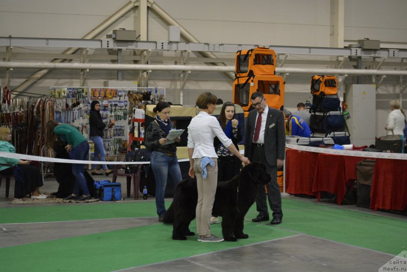 Фотография № 205834