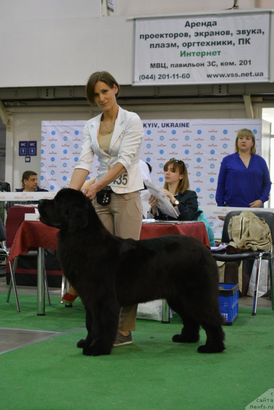 Фотография № 205837