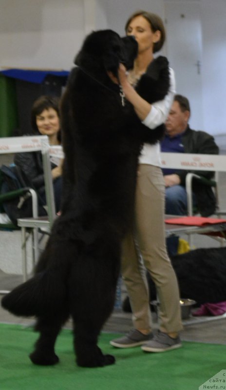 Фотография № 205838