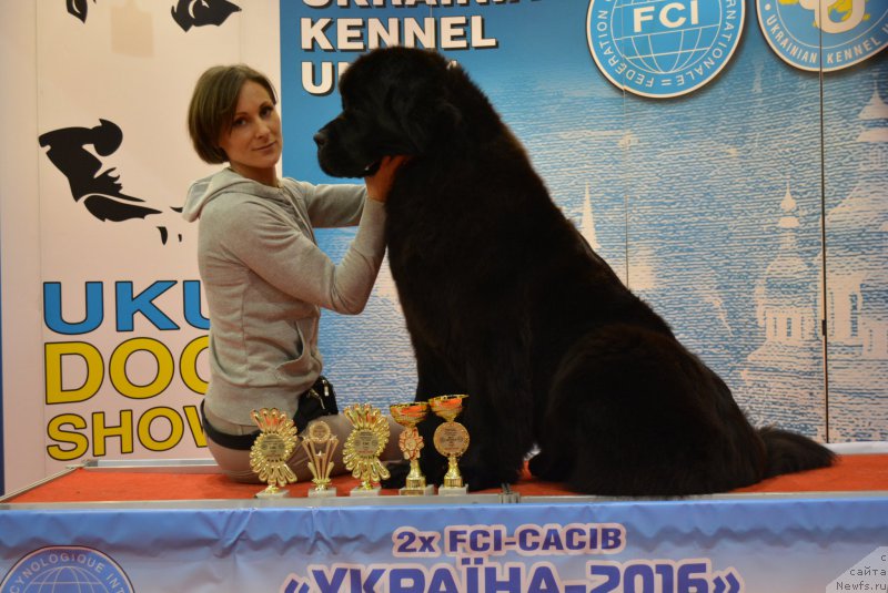 Фотография № 205840