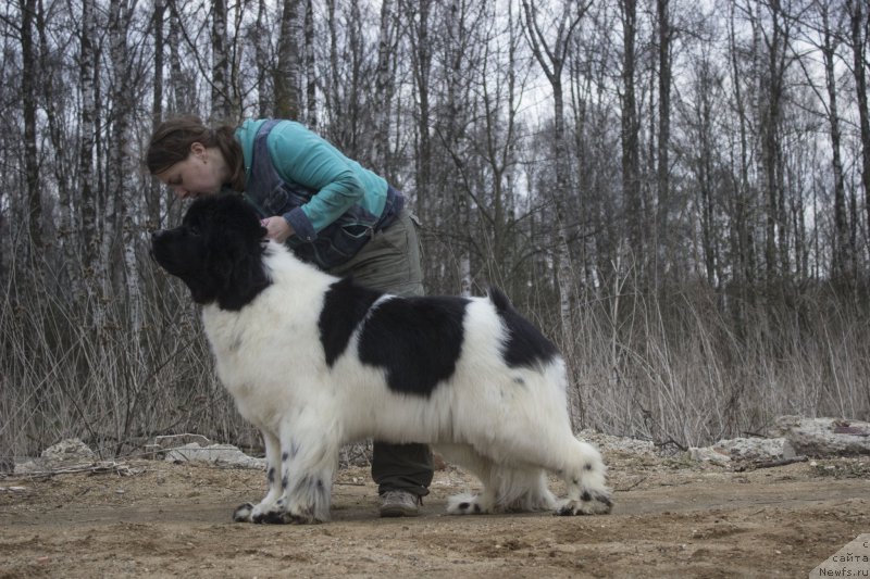 Фотография № 205845