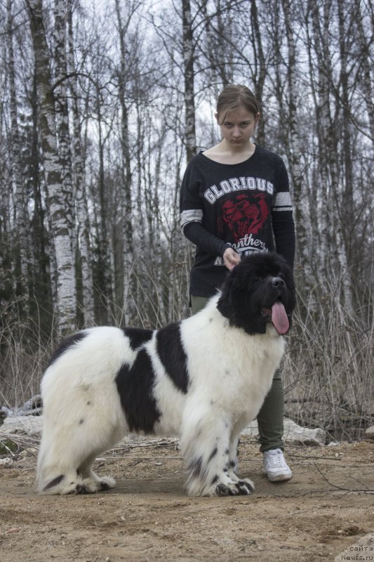 Фотография № 205846