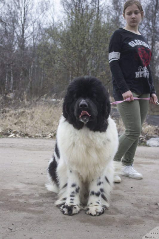 Фотография № 205851