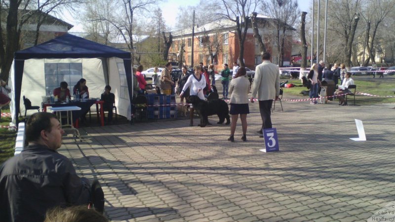 Фотография № 205857