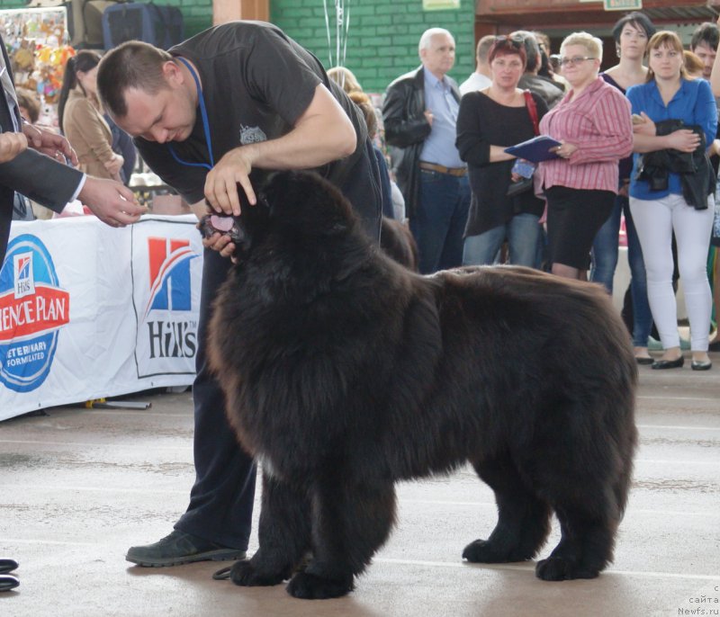 Фотография № 205867