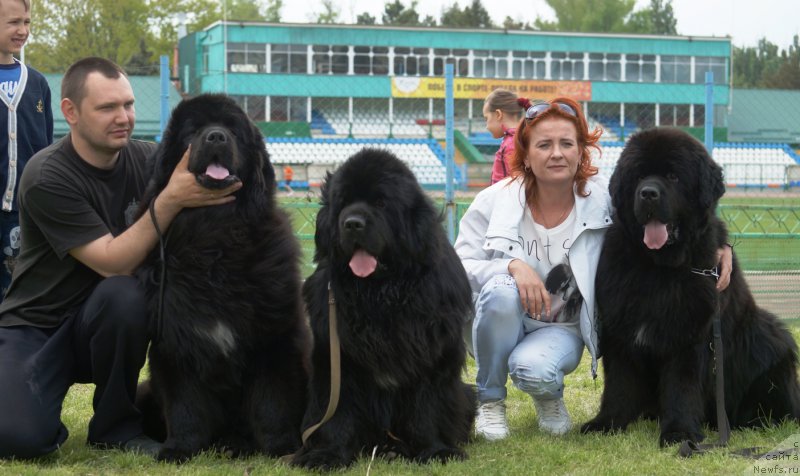 Фотография № 205869