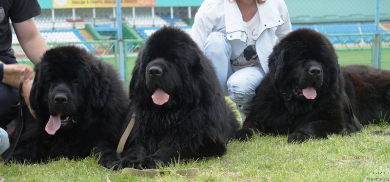 Фотография № 205870