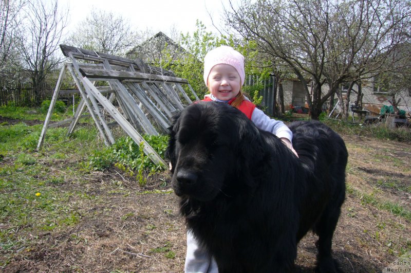 Фото: Вера Гончарова