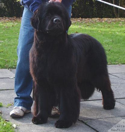 Фотография № 20589