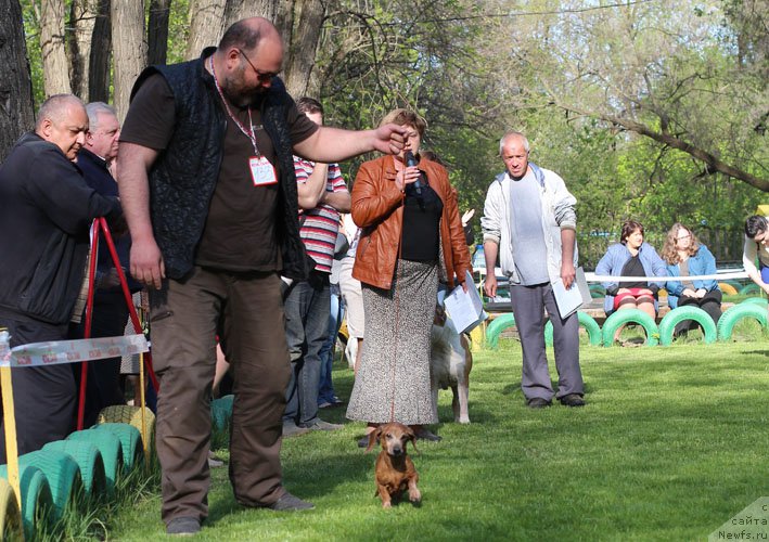 Фотография № 205896