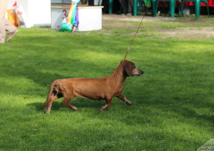 Фотография № 205897