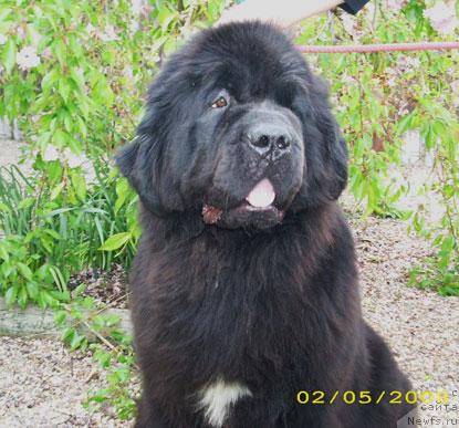 Фотография № 20590