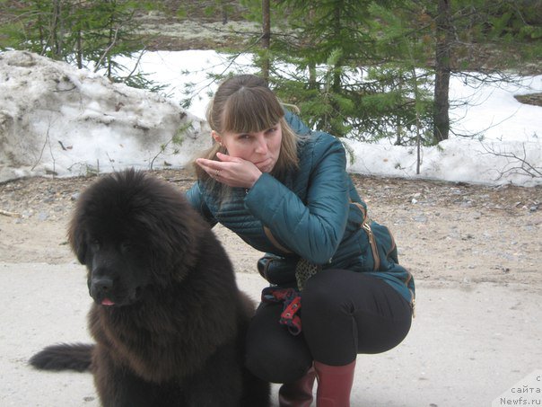 Фото: ньюфаундленд Энерги Океан