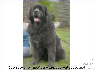 Фотография № 20594