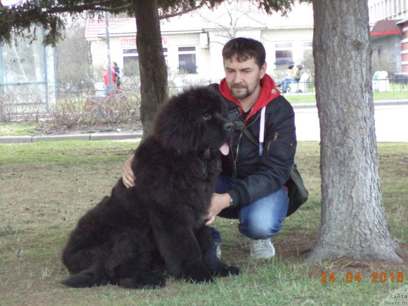 Фотография № 205994