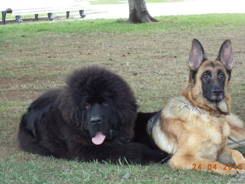 Фотография № 205996