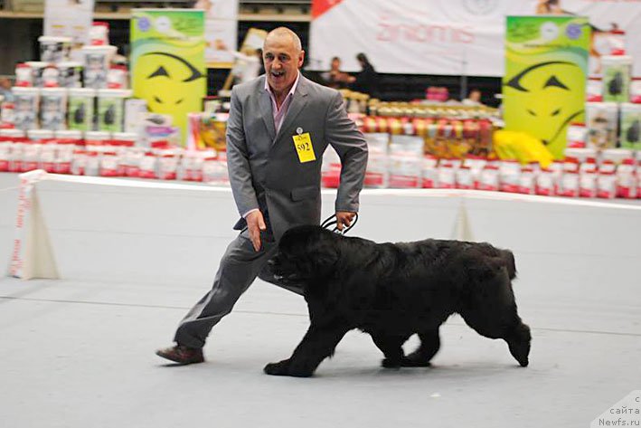 Фотография № 205997