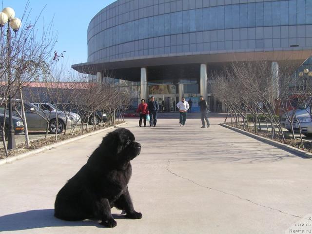 Фотография № 20602