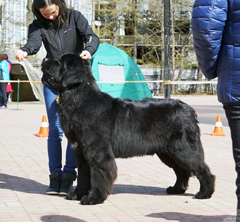 Фотография № 206029