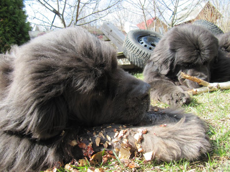 Фотография № 206057