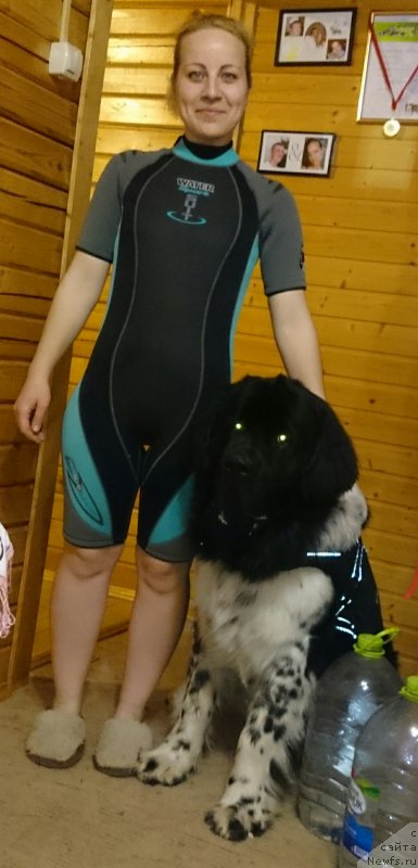 Фотография № 206061