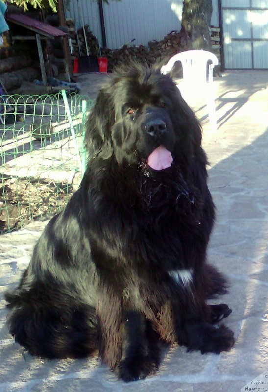 Фотография № 206063