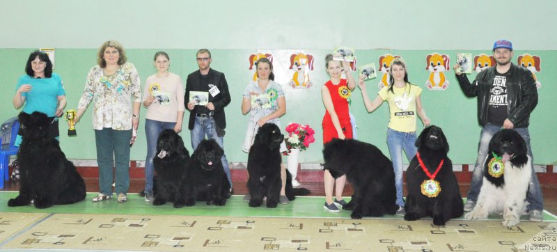 Фото: ньюфаундленд Kara Ayular Winter Caramel, ньюфаундленд Хан Тенгри Бирс Вайкики, ньюфаундленд Кара Аюлар Гранд Фьючи Явный Лидер, ньюфаундленд Кара Аюлар Единственная Красотка, ньюфаундленд Жюстин с Берега Дона (Zhustin s Berega Dona), ньюфаундленд Леонардо Сан-Марино, Александр Файзулин, Татьяна Рустанова, Сергей Батирбеков, Анна Мартынова
