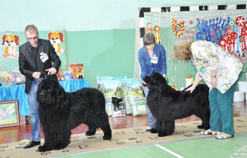 Фотография № 206069