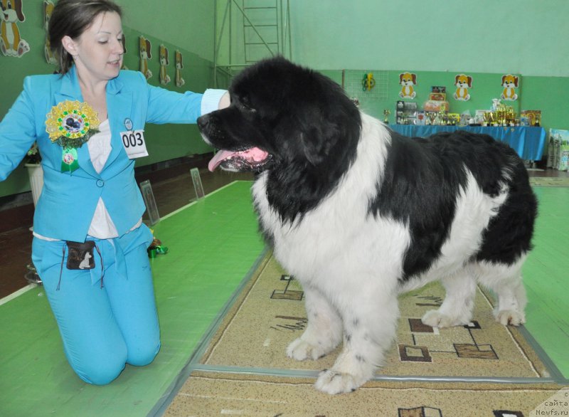 Фотография № 206074