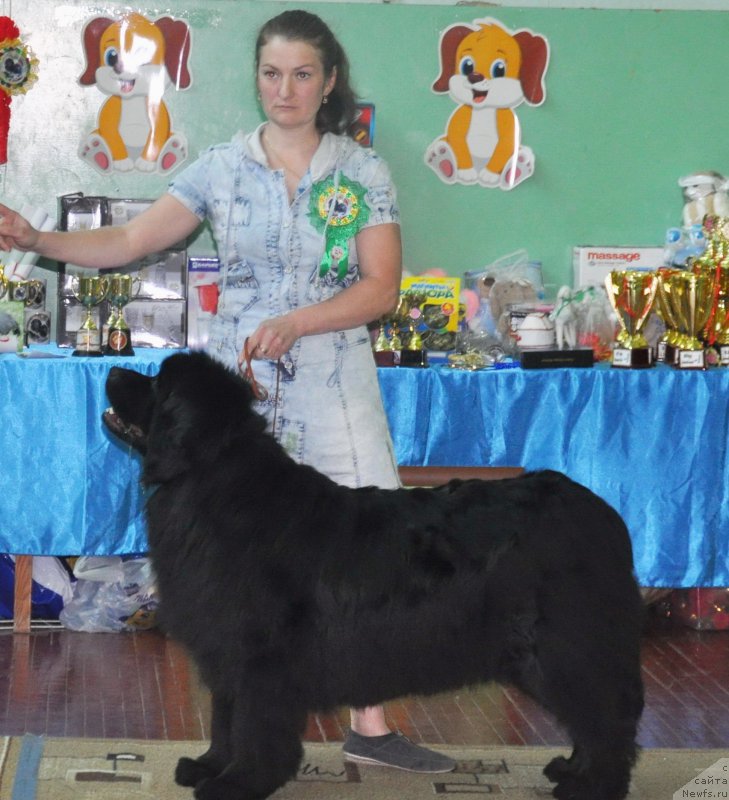 Фотография № 206077