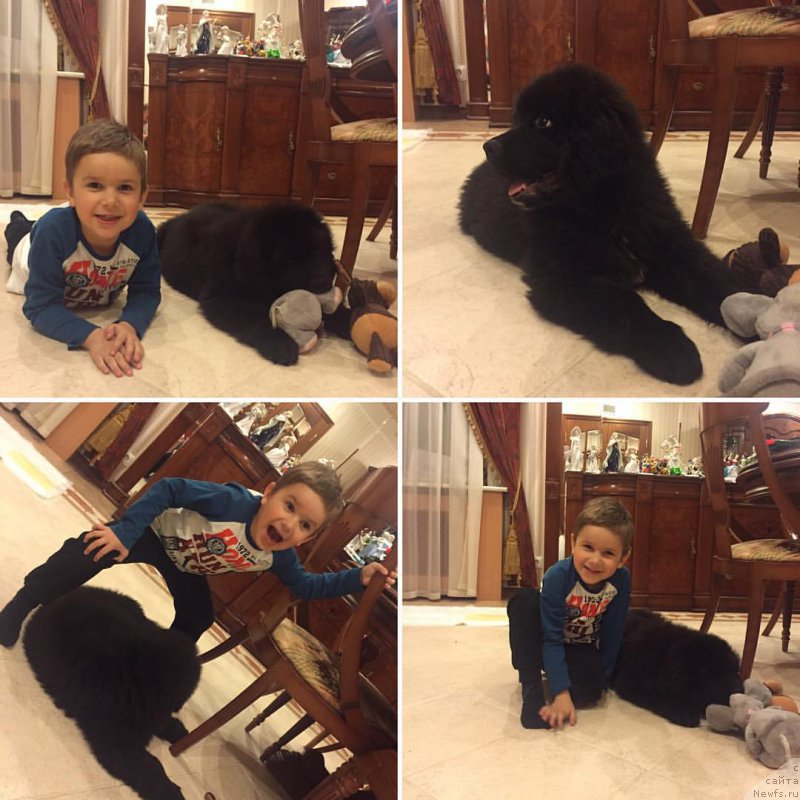 Фотография № 206132