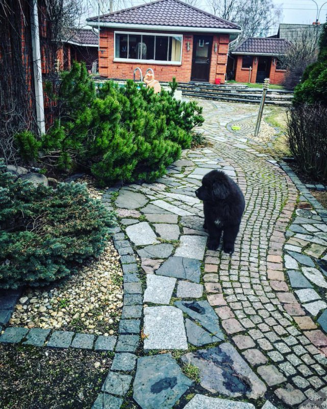 Фотография № 206134