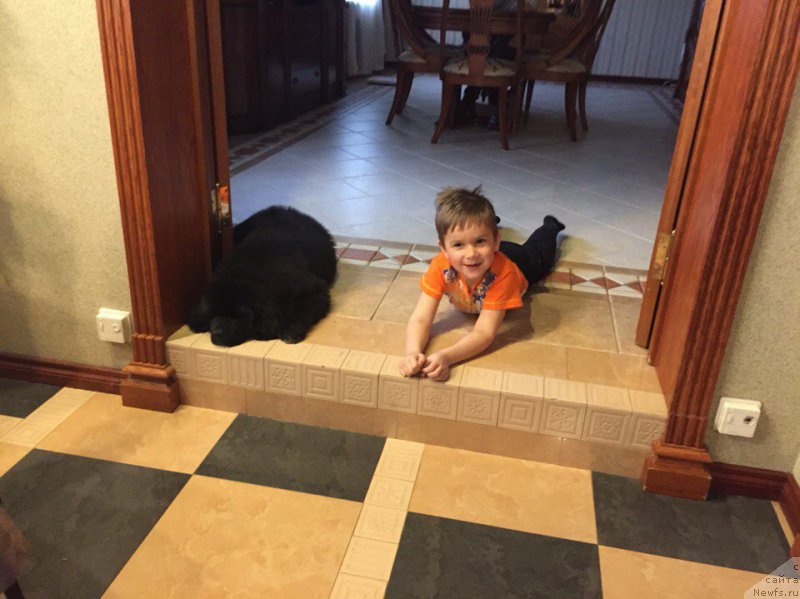 Фотография № 206135