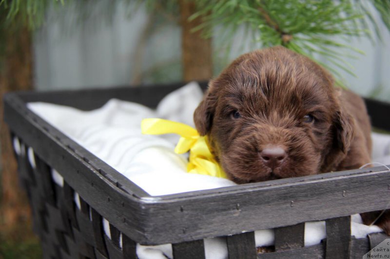 Фотография № 206144