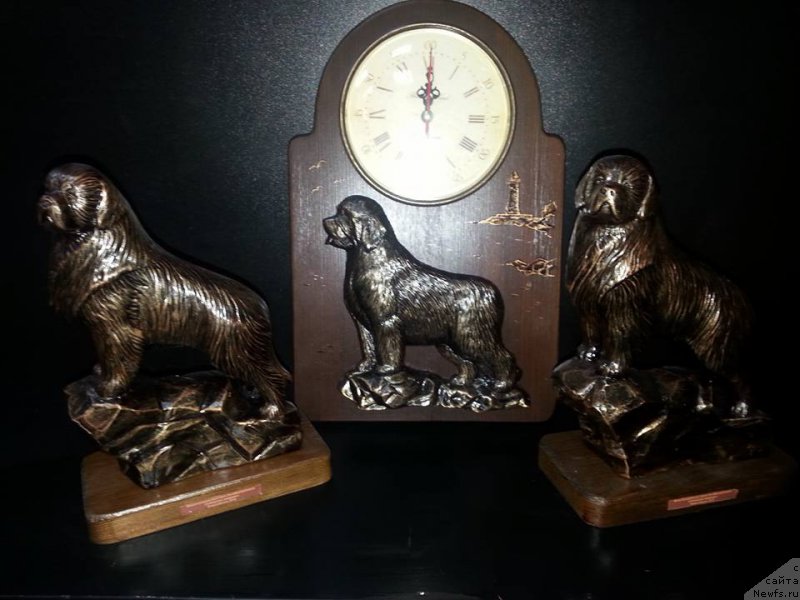 Фотография № 206159