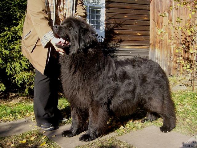 Фотография № 20618