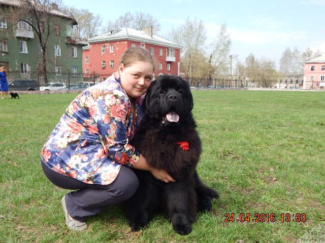 Фотография № 206180