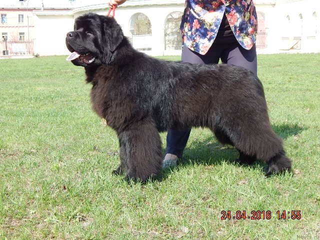 Фотография № 206182