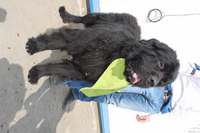 Фотография № 206185