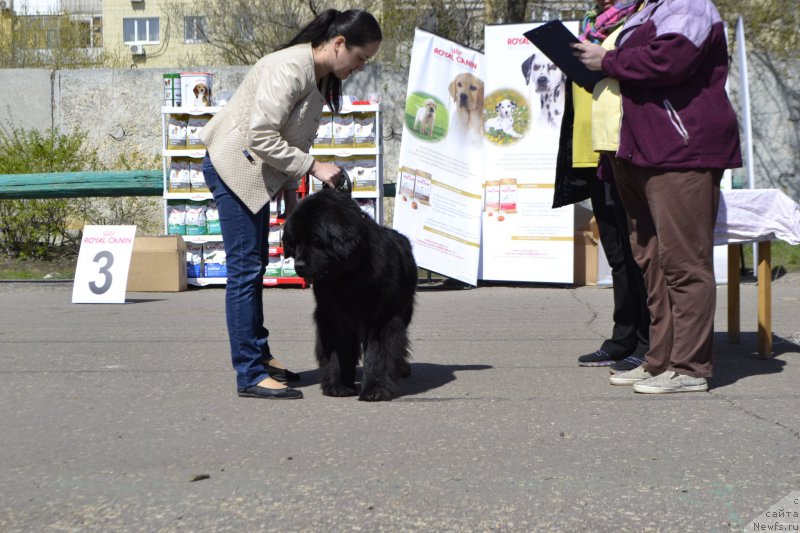 Фотография № 206186