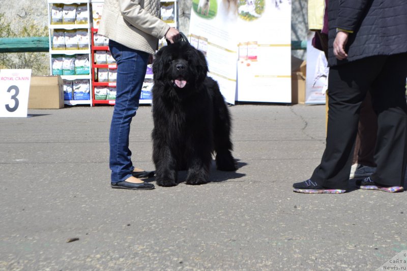 Фотография № 206187