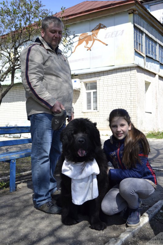 Фотография № 206188