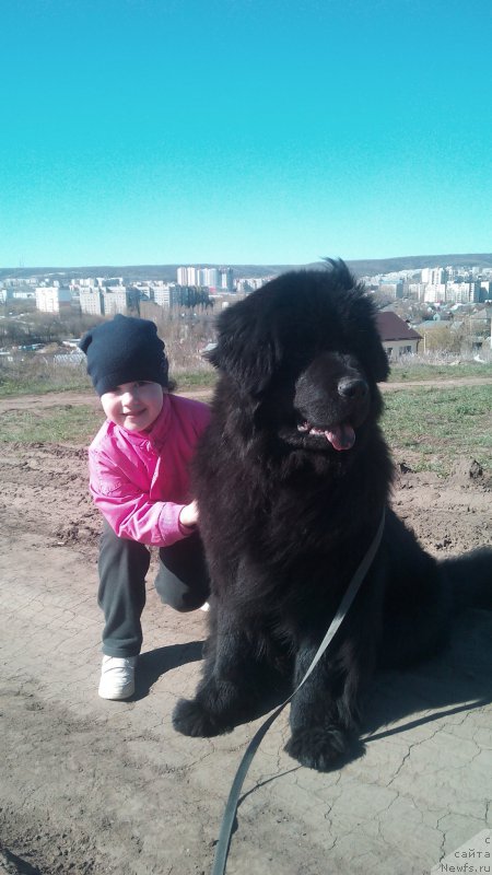 Фотография № 206189