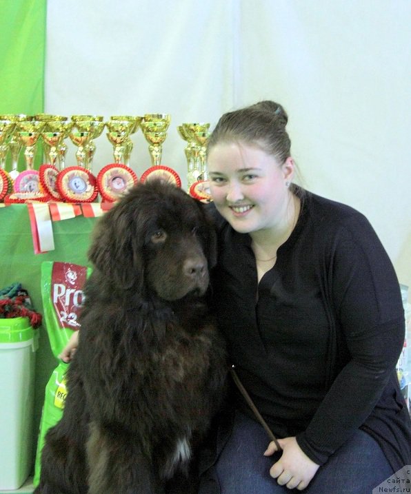 Фотография № 206209