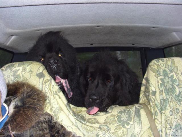 Фотография № 20621