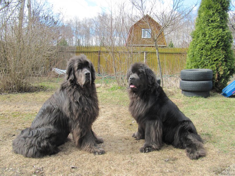 Фотография № 206210