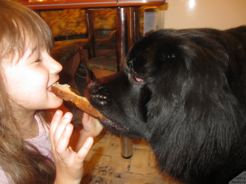 Фотография № 206218